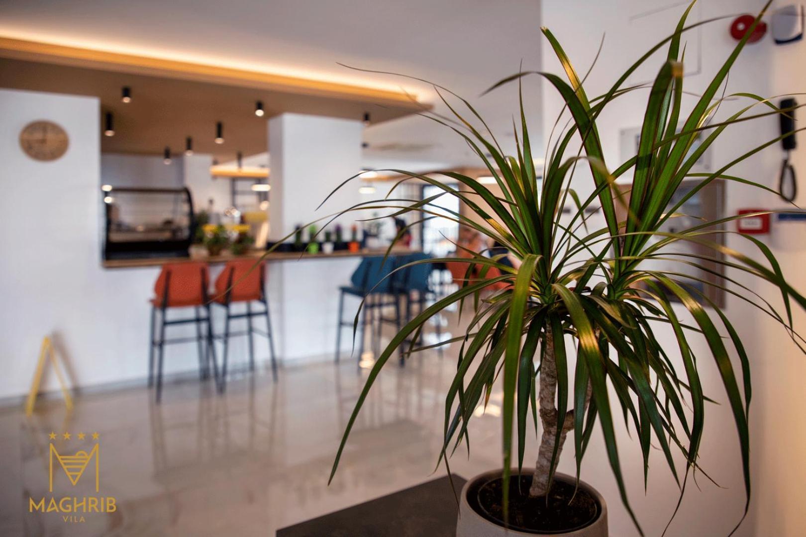 Maghrib Hotel Ulcinj Eksteriør bilde